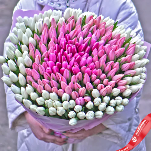 Фото 1: Букет из 150 белых тюльпанов и 151 розового тюльпана в упаковке. Сервис доставки цветов AzaliaNow