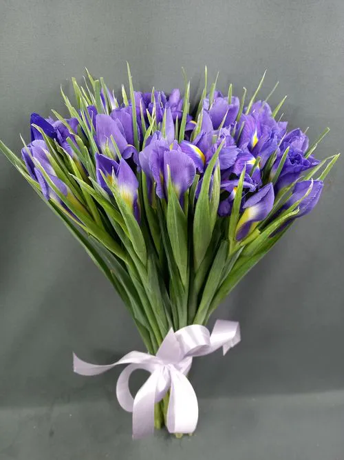 Фото флориста 1: Ирисы