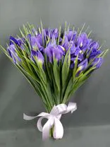 Фото флориста 1: Букет из 35 синих ирисов с лентой