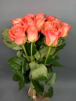 Фото флориста 2: 15 коралловых роз 60 см, Россия