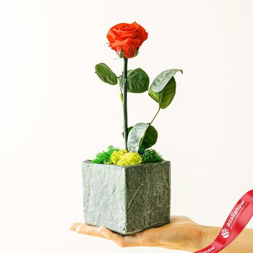 Фото 2: Вечная роза «День святого Валентина». Сервис доставки цветов AzaliaNow