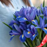 Маленькое фото 4: Букет из 25 синих ирисов с лентой. Сервис доставки цветов AzaliaNow