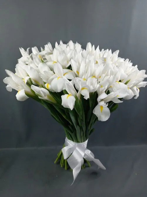 Фото флориста 3: Ирисы