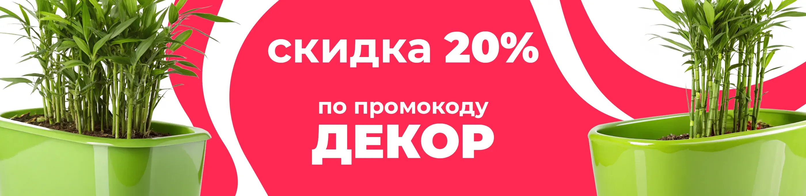Баннер для рубрики: Горшки для бамбука