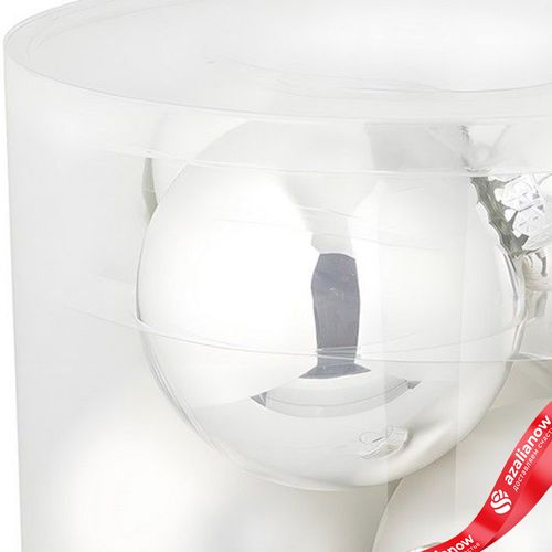 Фото 4: Набор шаров 6шт. в тубе (стекло), D10см, серебряный