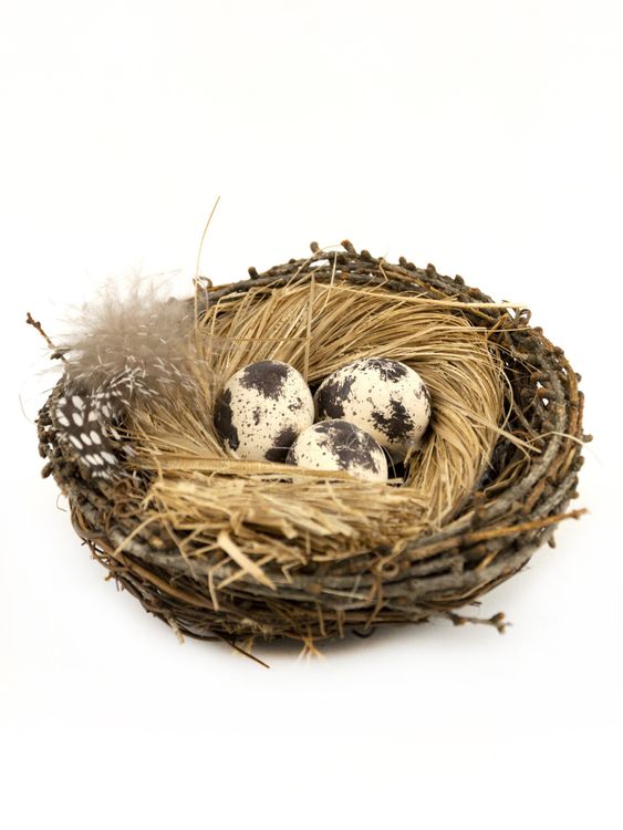 Фото 1: Гнездо с яйцами, D13см, коричневый. Сервис доставки цветов AzaliaNow