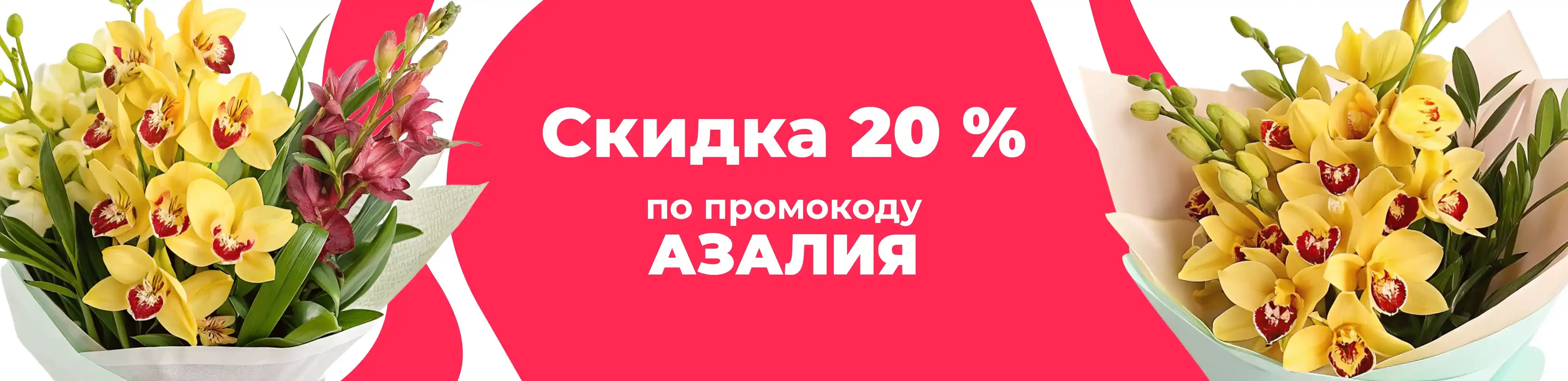 Баннер для рубрики: Коллекционные орхидеи