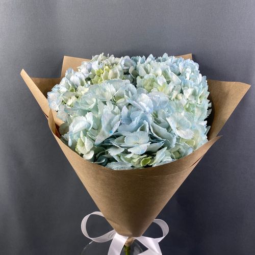 Фото флориста 1: Гортензии