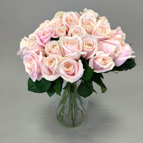 Показать все изображения