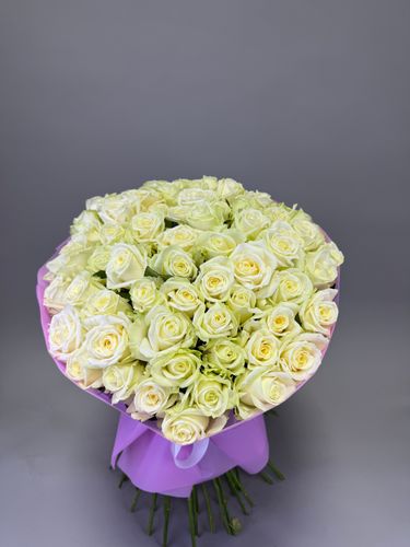 Показать все изображения