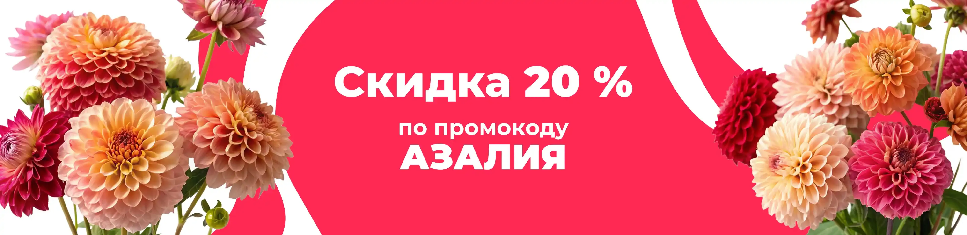 Баннер для рубрики: Георгины низкие 