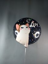 Фото флориста 1: Шар с гелием «Круг - С ДР (котик)», 46 см