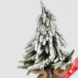 Маленькое фото 2: Ель искусственная заснеженная в кашпо, Н27х16х16см, зеленый/белый