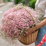 Маленькое фото 1: Букет из 51 розовой гипсофилы в корзине. Сервис доставки цветов AzaliaNow