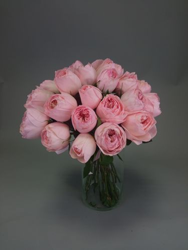 Показать все изображения