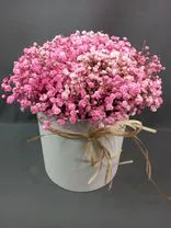 Фото флориста 1: Букет из 7 розовых гипсофил в белой коробке