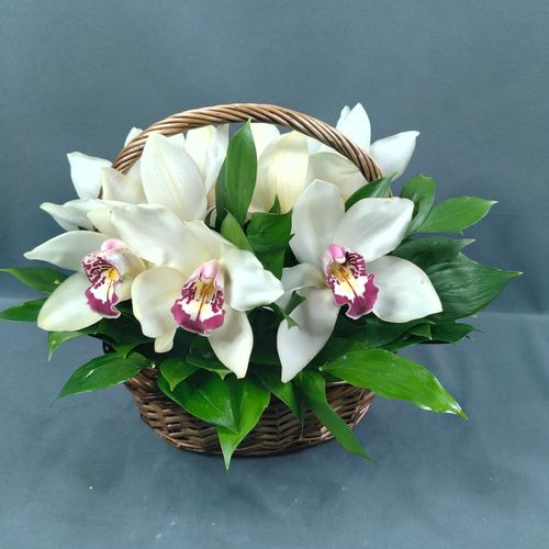 Фото флориста 4: Цветы для интерьера