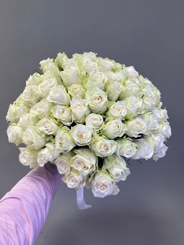 Показать все изображения