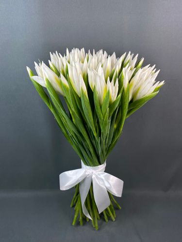 Показать все изображения