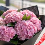 Маленькое фото 3: Букет из 7 розовых гортензий в черной пленке с лентой