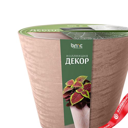 Фото 2: Кашпо со вставкой «Кашемир» (пластик), 19,5x12xH16,5см, 3л, коричневый