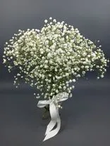 Фото флориста 1: 5 белых гипсофил, Голландия