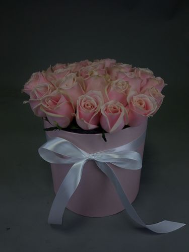 Показать все изображения