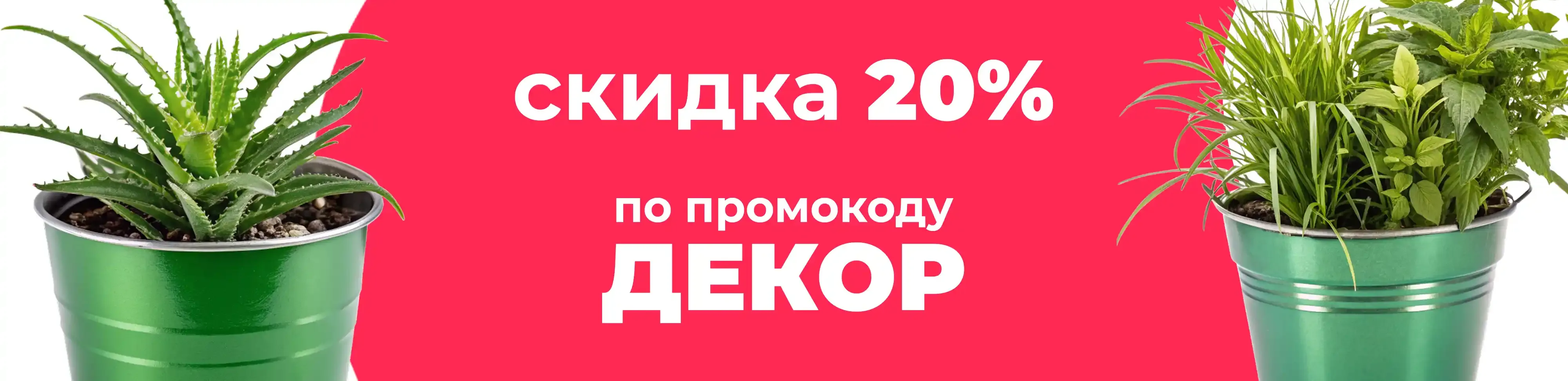 Баннер для рубрики: Горшки для кашпо