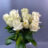 Фото флориста 1: 11 белых роз высшего сорта