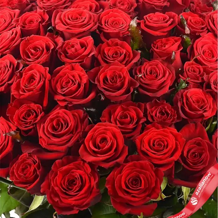 Фото 3: 101 красная роза Гранд 50 см, Кения. Сервис доставки цветов AzaliaNow
