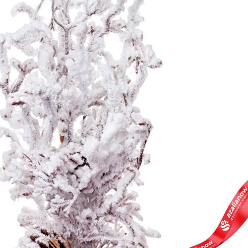 Фото 3: Ветка кедровая заснеженная, 71см