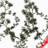 Маленькое фото 5: Гирлянда сосновая с шишками, 180см, зеленый