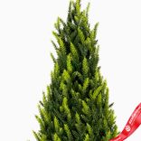 Маленькое фото 4: Ель искусственная в кашпо, Н60х26х26см, зеленый