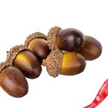 Маленькое фото 5: Набор для наполнения композиций из желудей 24шт., D1,9см, темно-коричневый