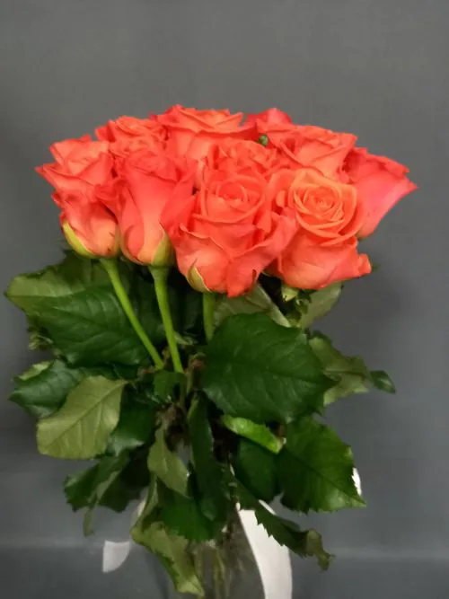 Показать все изображения