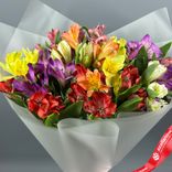 Маленькое фото 3: Букет из 11 альстромерий микс в прозрачной матовой пленке с розовой лентой