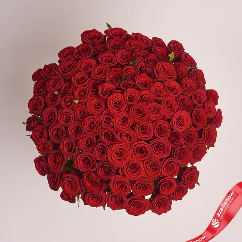 Фото 1: Акция! 101 красная роза 50 см, Россия. Сервис доставки цветов AzaliaNow