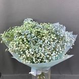 Фото флориста 1: Букет из 5 голубых гипсофил в синей пленке