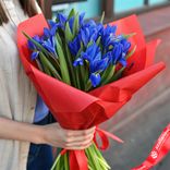 Маленькое фото 1: Букет из 15 синих ирисов в красной пленке. Сервис доставки цветов AzaliaNow