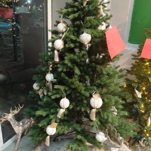 Фото флориста 1: Новогодние елки