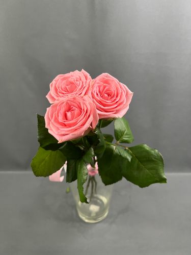 Фото флориста 2: Цветы Крылатское