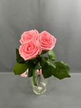 Фото флориста 2: Букет из 3 розовых роз с лентой 40 см, Россия
