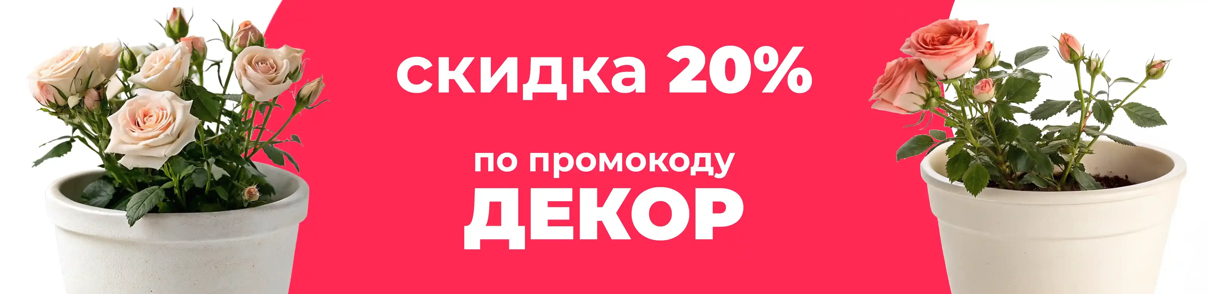 Баннер для рубрики: Горшки для роз