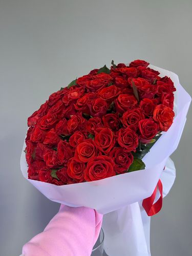 Показать все изображения