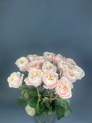 Фото флориста 4: Пионовидные розы