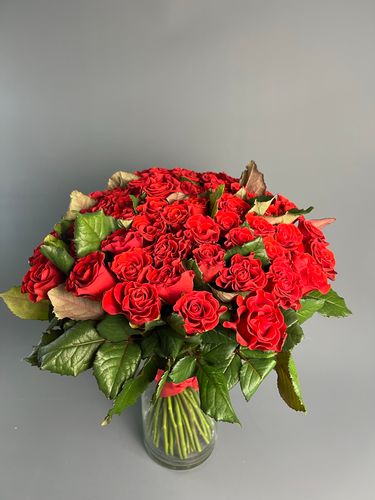 Показать все изображения