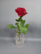 Фото флориста 4: Роза красная, Кения, 40см