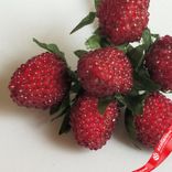 Маленькое фото 5: Набор малины на вставках 10шт., D2x2,5xL12см, малиновый