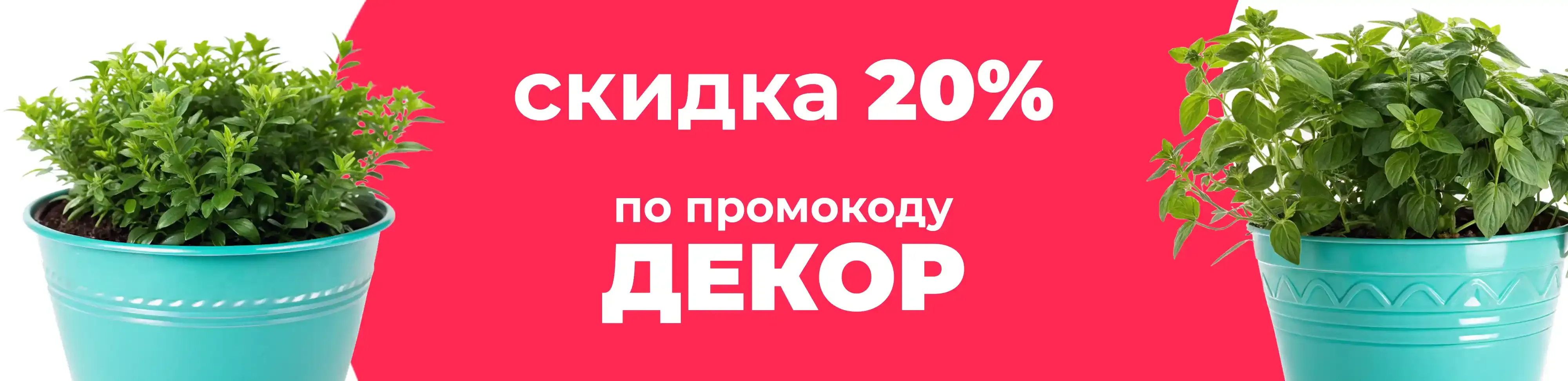 Баннер для рубрики: Горшки для орхидей