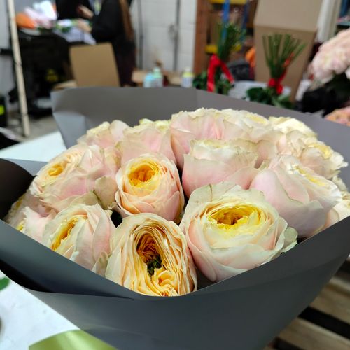 Показать все изображения